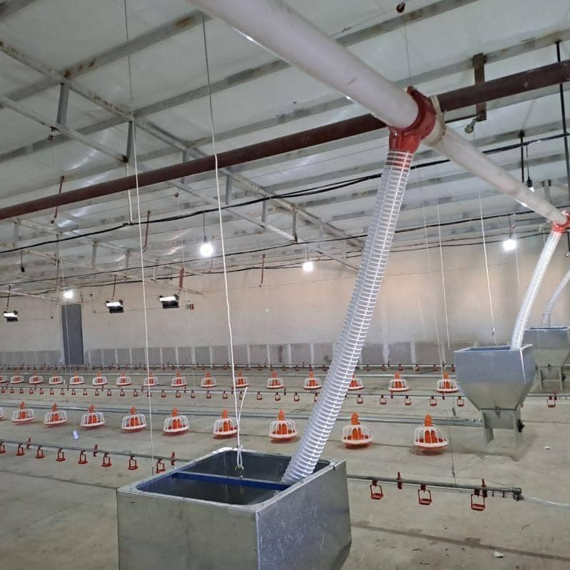 تولید و فروش تجهیزات مرغداری فقیه لو در قزوین