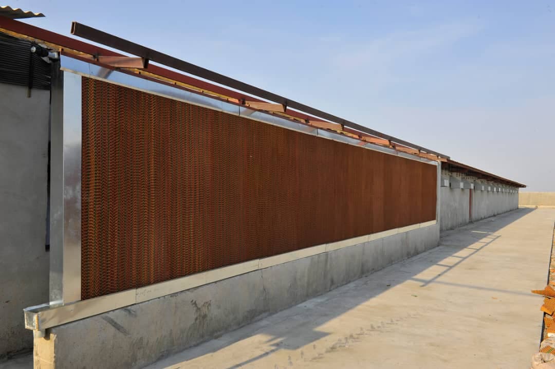 تولید و فروش تجهیزات مرغداری فقیه لو در قزوین