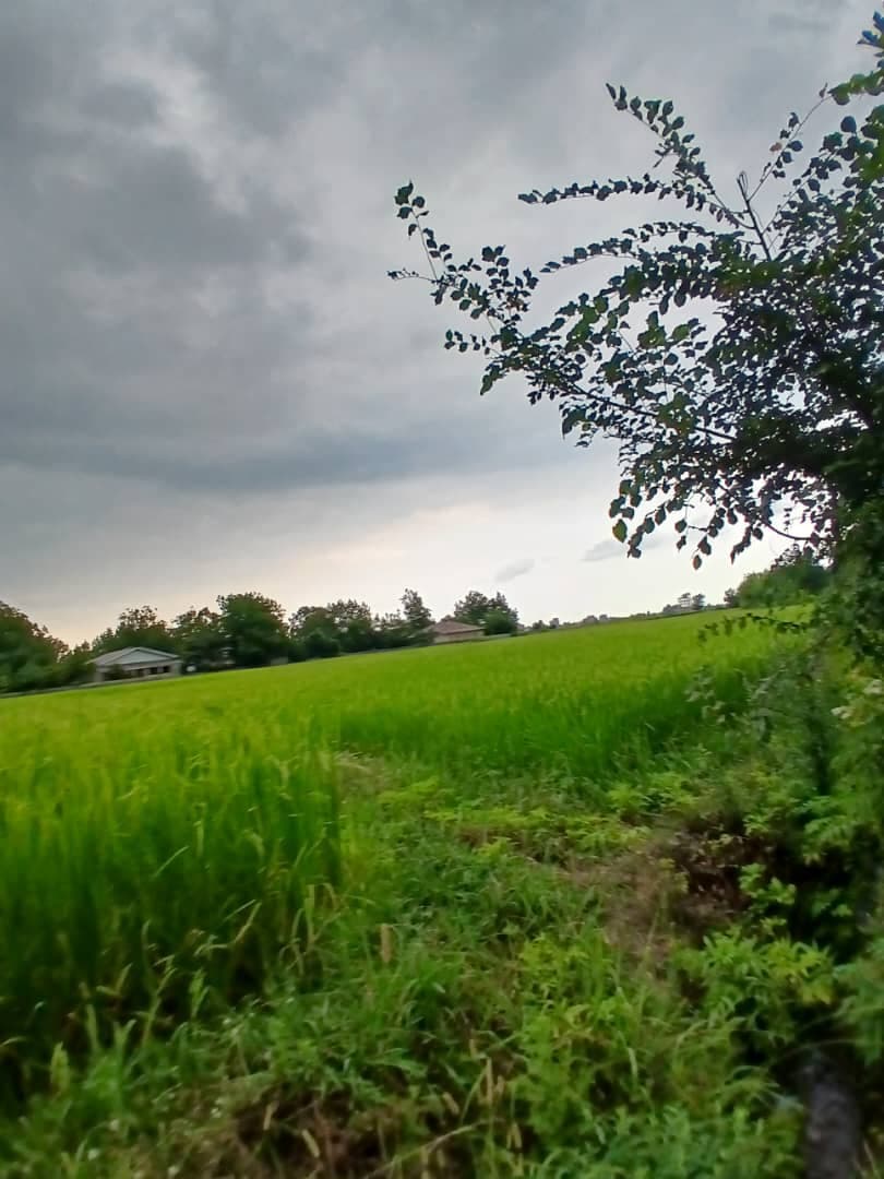 اجاره روزانه کلبه چوبی عشقی در ماسال