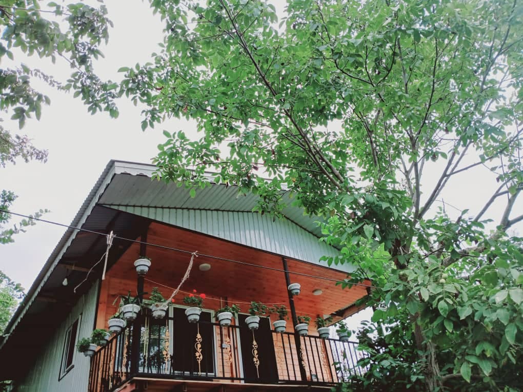 اجاره روزانه کلبه چوبی عشقی در ماسال