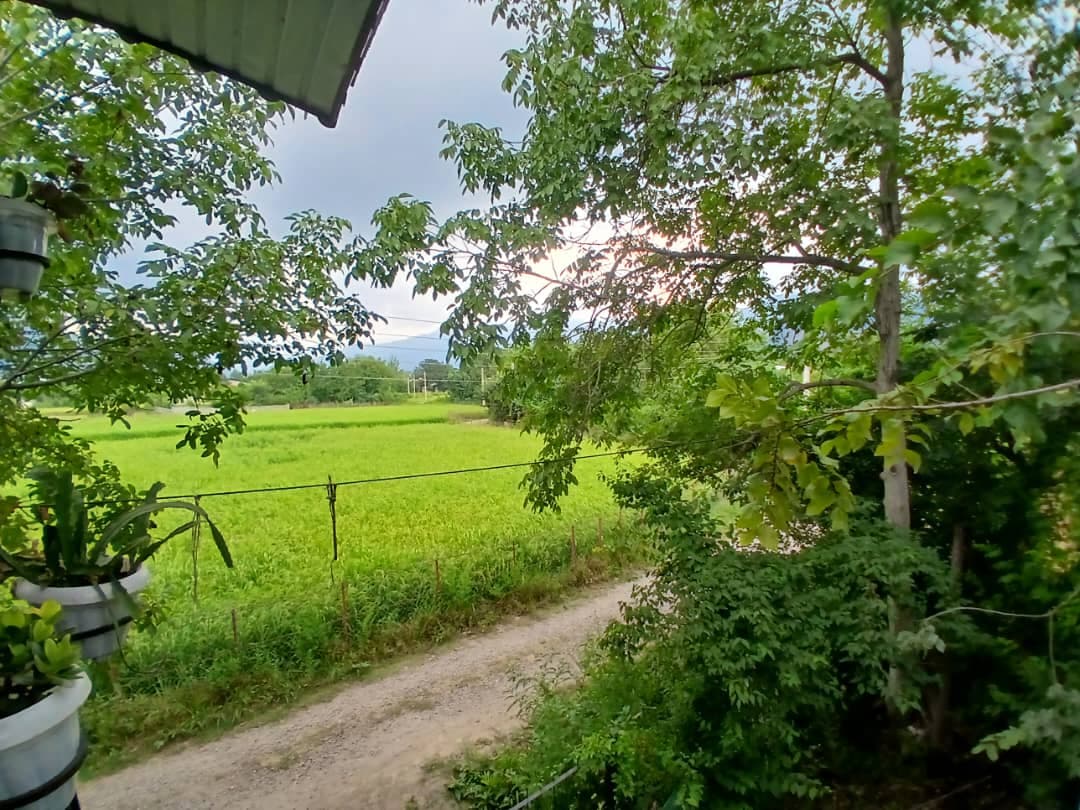 اجاره روزانه کلبه چوبی عشقی در ماسال