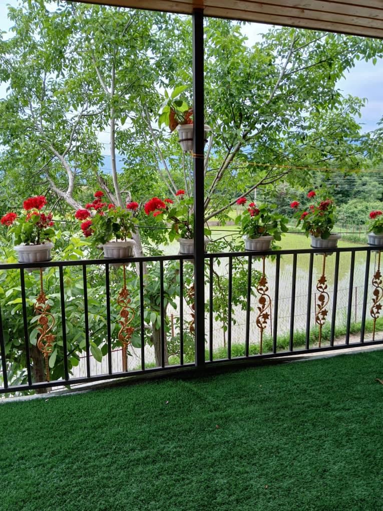 اجاره روزانه کلبه چوبی عشقی در ماسال