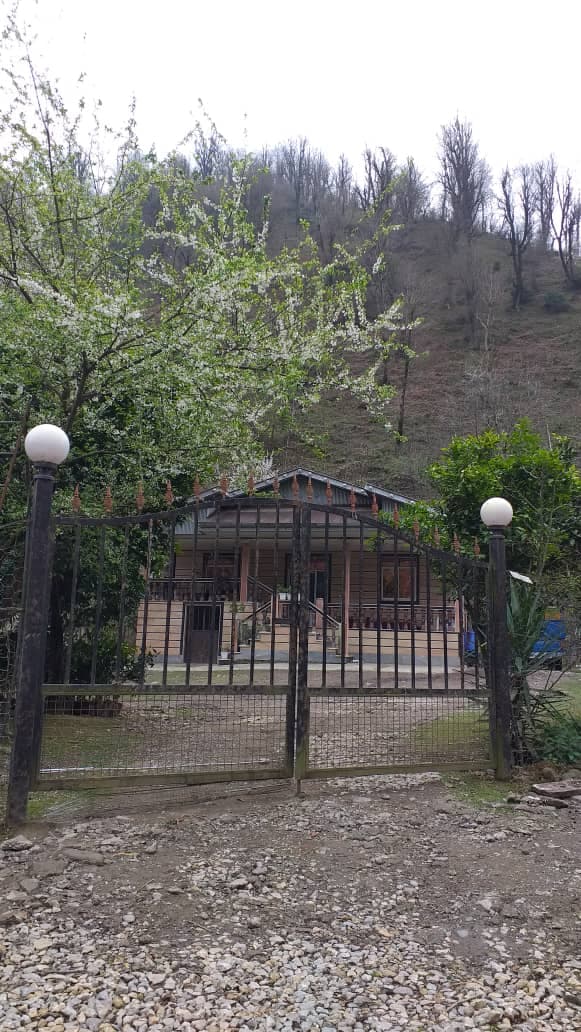 اجاره ویلا جنگلی شهبازی در ماسال