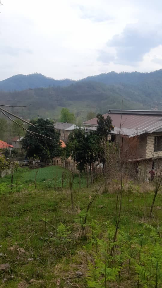 اجاره ویلا باغ تقی زاده در ماسال