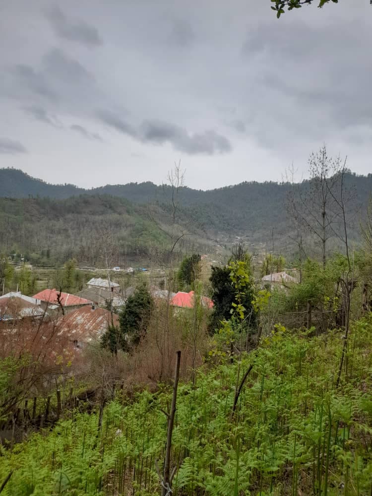 اجاره ویلا باغ تقی زاده در ماسال