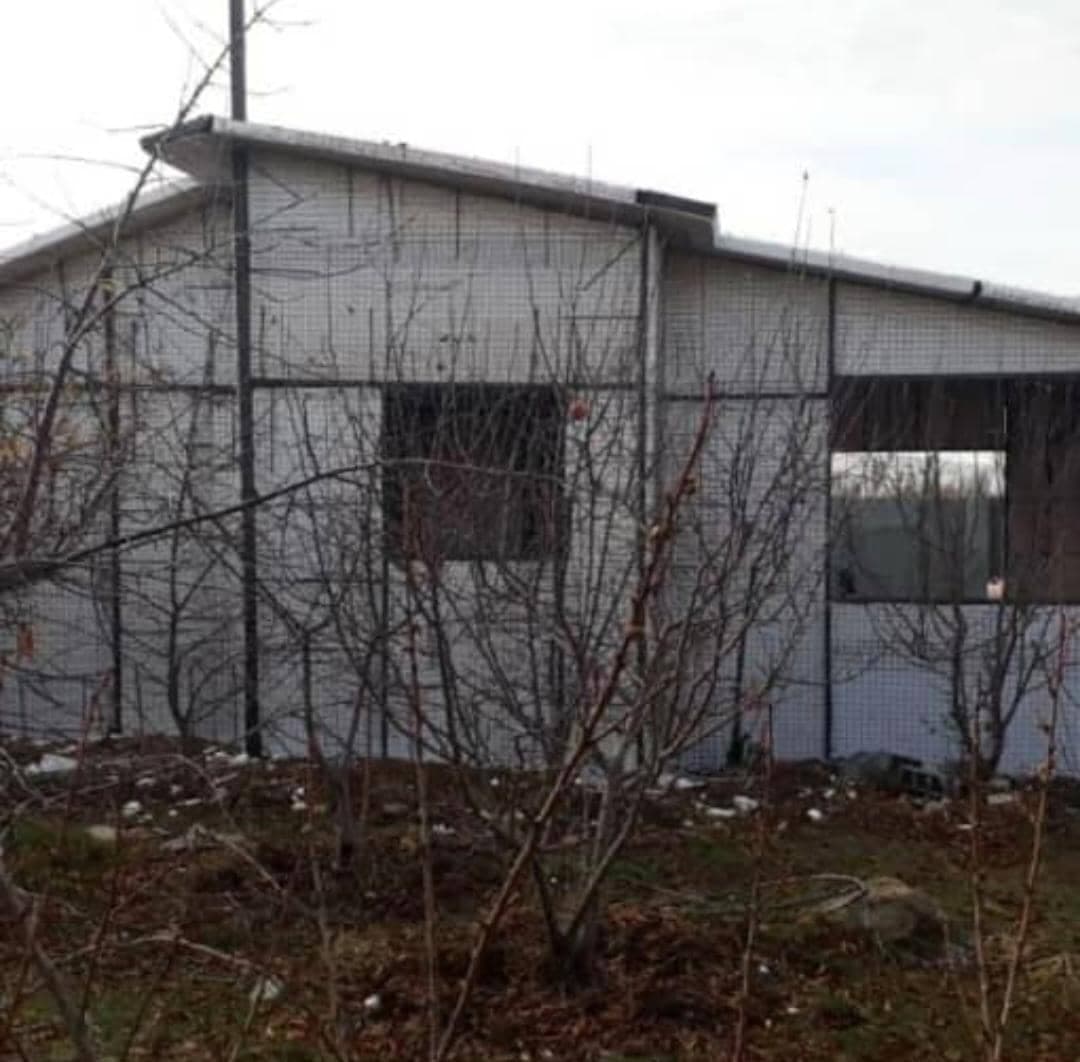 اجرا شاتکریت فرهاد عبدی پور در رشت