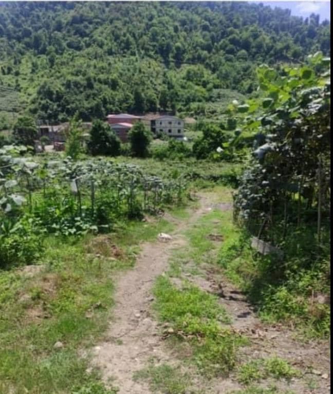 اجاره ویلا سوئیت اَسرا در چوبر تالش