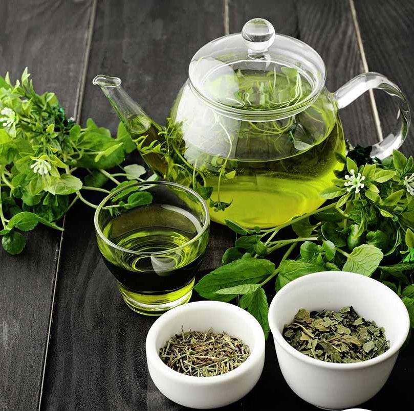 همه چیز درباره چای سبز، خواص چای سبز، ایران مشاغل سامانه ثبت مشاغل کشور