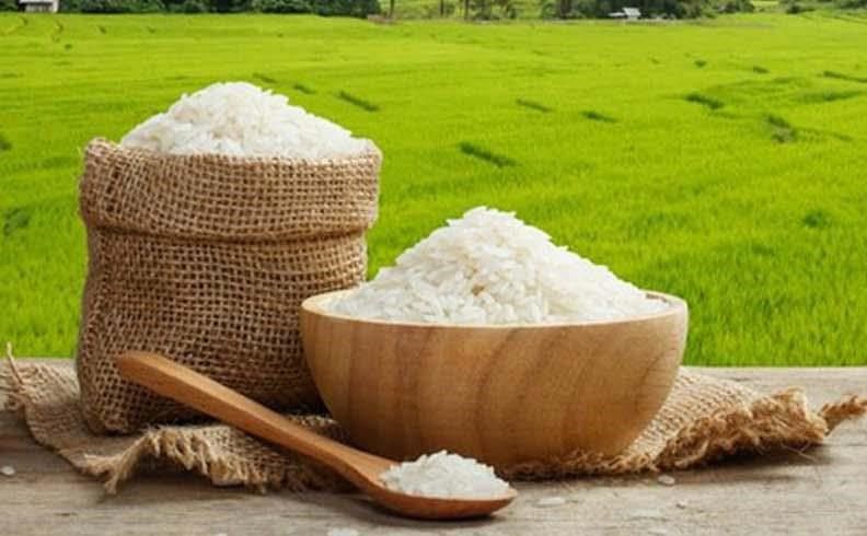 درباره برنج ایرانی،خواص برنج، فواید برنج، انواع برنج ایرانی،ایران مشاغل سامانه ثبت مشاغل کشور