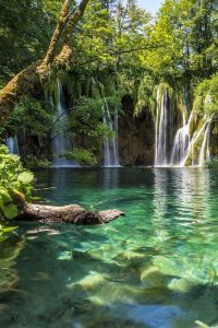 تورهای طبیعت گردی