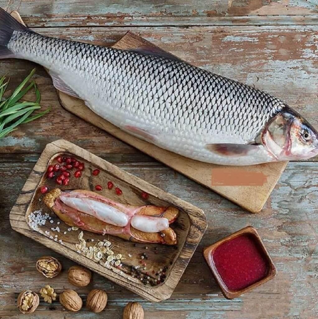 خواص ماهی برای سلامتی بدن
