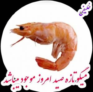 ماهی فروشی خلیفی در خوزستان ،آدرس ماهی فروشی خلیفی در خوزستان فایران مشاغل سامانه برتر ثبت مشاغل کشور