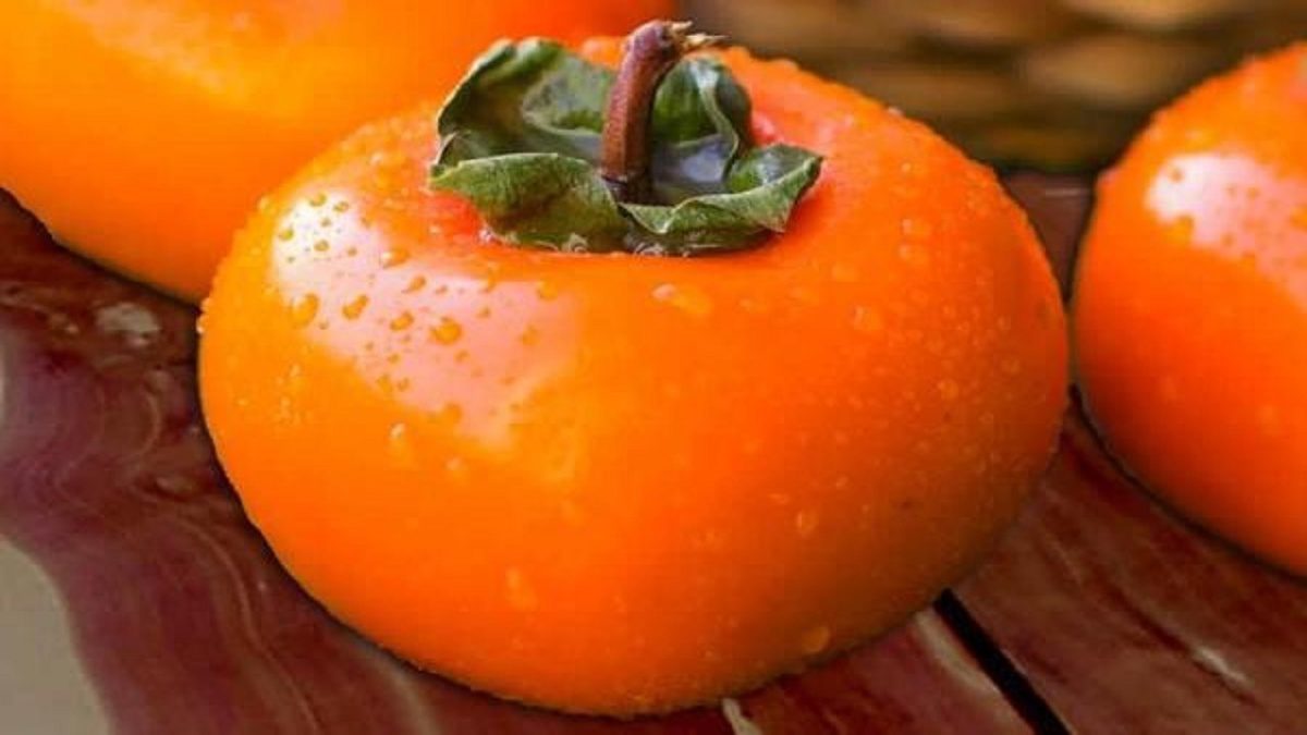 خواص خرمالو چیست ،درباره خواص خرمالو برای سلامت بدن انسان ،خرمالو چیست ،خرمالو به درمان چه بیمارهایی کمک میکند ،ایران مشاغل