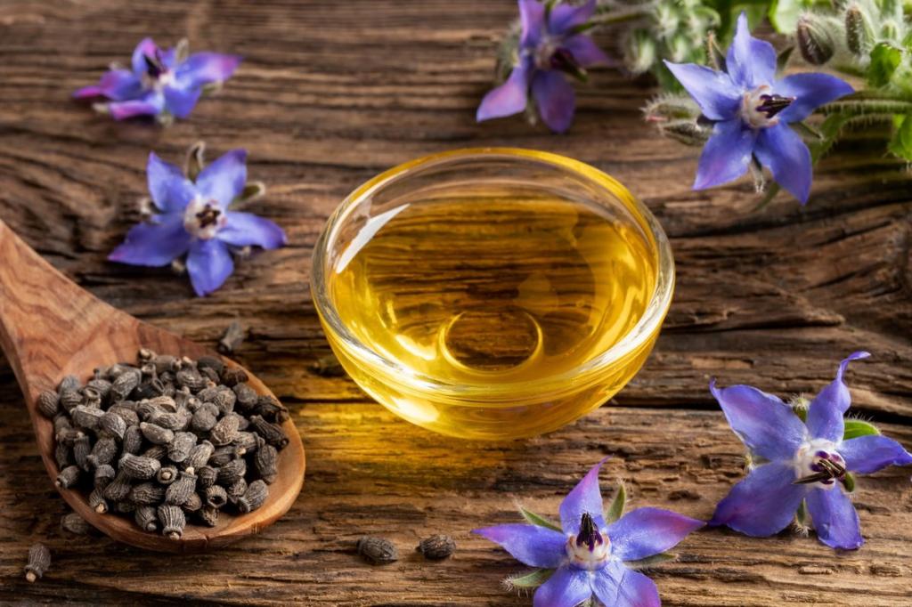 خواص گیاه گل گاو زبان ،گل گاو زبان چیست ،فواید دمنوش گل گاو زبان برای بدن ،درمان جوش با گل گاو زبان ،درمان فشارخون ،ایران مشاغل سامانه ثبت مشاغل کشور