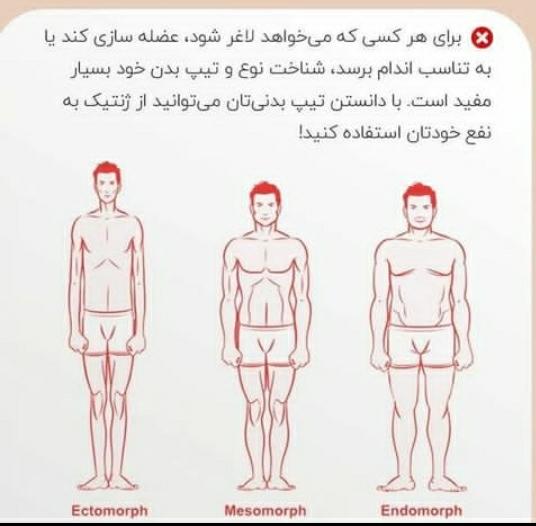 مجموعه ورزشی ایکس بادی تندرست ۲۴ در کرج ،آدرس مجموعه ورزشی ایکس بادی تندرست ۲۴ در کرج ،ایران مشاغل سامانه برتر ثبت مشاغل کشور