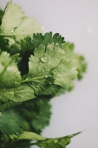 خواص جعفری برای پوست