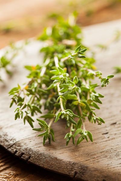 خواص آویشن برای سرماخوردگی