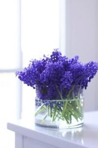 سنبل یکی از نمادهای هفت سین ایرانی