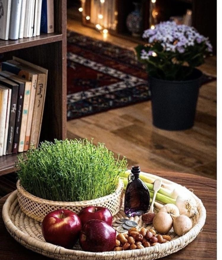 آموزش سبز کردن عدس برای سبزه هفت سین نوروز ،سبزه عدس و سفره هفت سین ،ایران مشاغل سامانه برتر ثبت مشاغل کشور