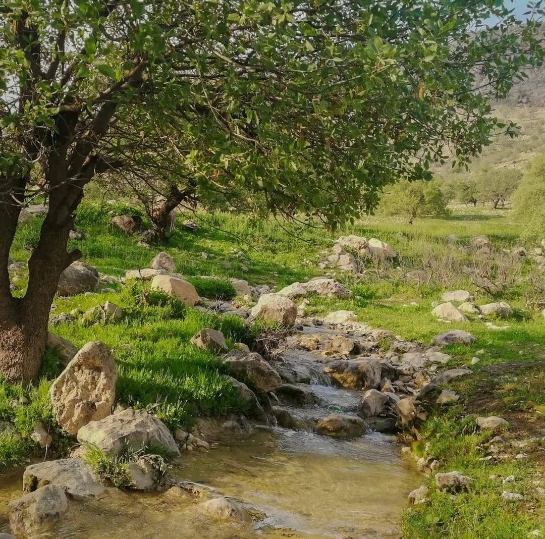 اقامتگاه بومگردی بنه وار در ایذه ،آدرس اقامتگاه بومگردی بنه وار در ایذه ،ایران مشاغل سامانه برتر ثبت مشاغل کشور 