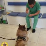 آموزش و گرومینگ و آرایش حیوانات خانگی عمو ایرج در تهران