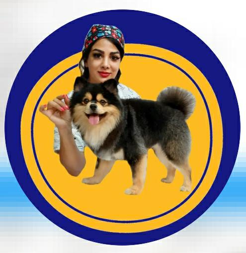 آرایشگاه حیوانات خانگی پاپی کات در رشت