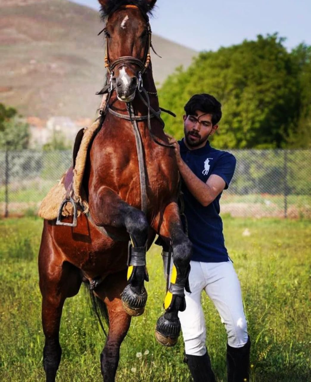 باشگاه سوارکاری کردستان پانسیون و پرورش اسب در بوکان آذربایجان غربی ،آدرس باشگاه سوارکاری کردستان پانسیون و پرورش اسب در بوکان آذربایجان غربی ،ایران مشاغل سامانه برتر ثبت مشاغل کشور 