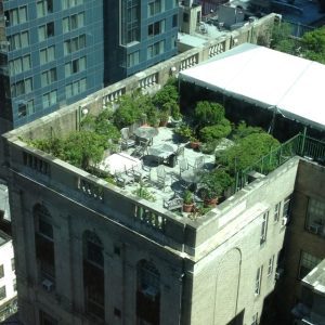 بام سبز یا Green Roof چیست ؟
