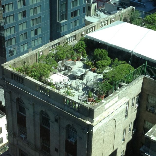 بام سبز یا Green Roof چیست ؟