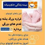 شرکت بیمه زندگی خاورمیانه هادئی در یزد