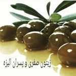 زیتون حاج صفری و پسران الیزه رودبار