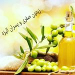 زیتون حاج صفری و پسران الیزه رودبار