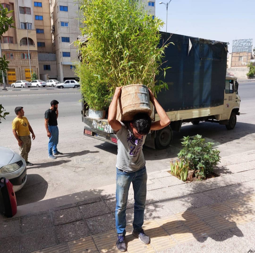 خدمات اسباب کشی و باربری منزل ستاره فارس در شیراز ، آدرس خدمات اسباب کشی و باربری منزل ستاره فارس در شیراز ، اسران مشاغل سامانه برتر ثبت مشاغل کشور