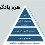 کلنیک کاردرمانی و توانبخشی و اختلالات اتیسم بیش فعالی مختارزاده در تبریز