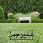 فروش و تولید و پخش عمده و خرده چمن مصنوعی تبریز چمن در تبریز