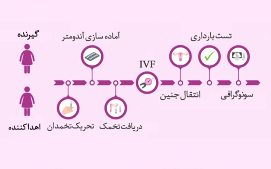 اهدای تخمک و رحم اجاره ای مشاوره ارشد ناباروری ماما مهسا لیاقت در اهواز ، آدرس اهدای تخمک و رحم اجاره ای مشاوره ارشد ناباروری ماما مهسا لیاقت در اهواز ، ایران مشاغل سامانه برتر ثبت مشاغل کشور