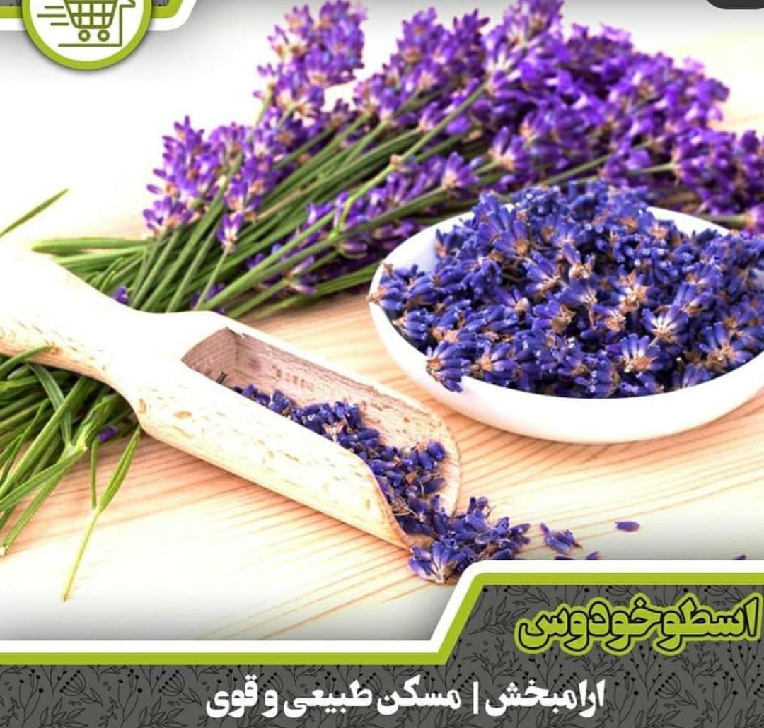 عطاری ممتاز نیشابوری در حکیمیه تهران ،آدرس عطاری ممتاز نیشابوری در حکیمیه تهران ،ایران مشاغل سامانه برتر ثبت مشاغل کشور 