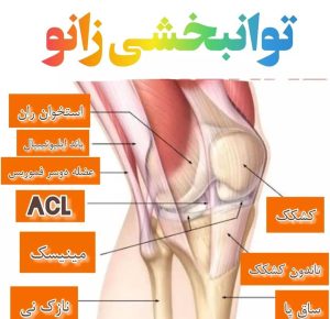 کلینیک فیزیوتراپی مگنت تراپی شاک ویوتراپی تکارتراپی آرتان در تهران ، آدرس کلینیک فیزیوتراپی مگنت تراپی شاک ویوتراپی تکارتراپی آرتان در تهران ، ایران مشاغل سامانه برتر ثبت مشاغل کشور