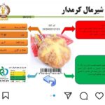 نمایندگی پخش نان سحر در کرمان