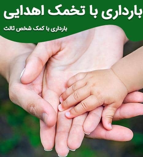 کلینیک اهدای تخمک ناباروری و نازایی مشاور ارشد زنان مهسا لیاقت در شوشتر،آدرس کلینیک اهدای تخمک ناباروری و نازایی مشاور ارشد زنان مهسا لیاقت در شوشتر ،ایران مشاغل سامانه برتر ثبت مشاغل کشور 