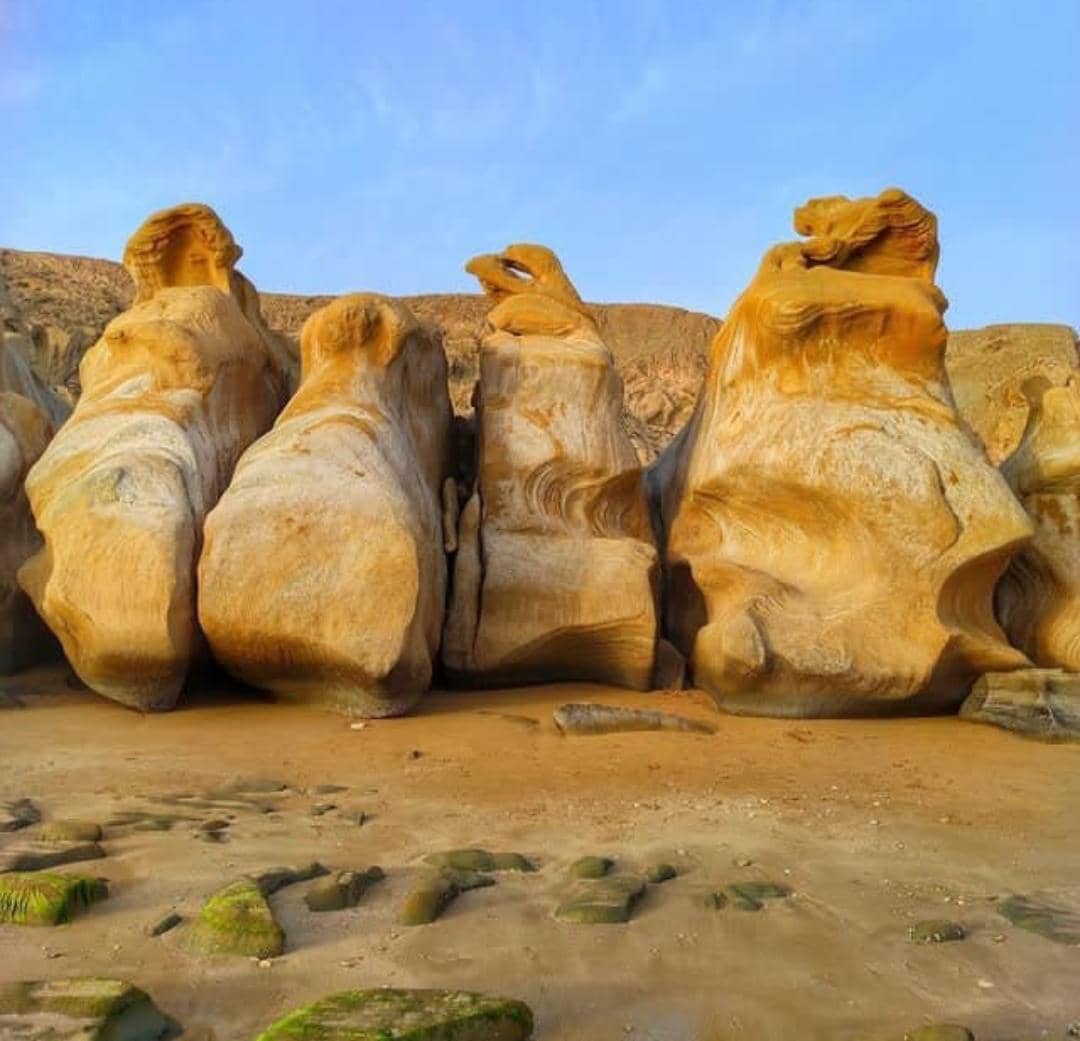 خدمات گردشگری دریایی ناخدای هفت دریا در بندر مقام ،آدرس خدمات گردشگری دریایی ناخدای هفت دریا در بندر مقام ،ایران مشاغل سامانه برتر ثبت مشاغل کشور 