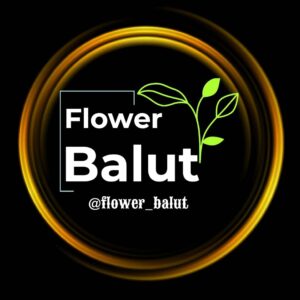 واردکننده و تولید و فروش درختچه مصنوعی flower balut در تهران ، آدرس واردکننده و تولید و فروش درختچه مصنوعی flower balut در تهران ، ایران مشاغل سامانه برتر ثبت مشاغل کشور