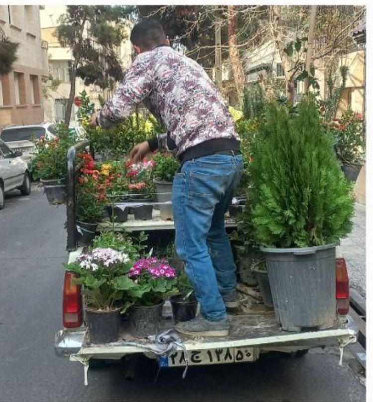 خدمات باغبانی سبز گستران نوده در تهران ، آدرس خدمات باغبانی سبز گستران نوده در تهران ، ایران مشاغل سامانه برتر ثبت مشاغل کشور