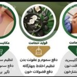 طب سنتی ولیعصر در اراک