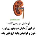 طب سنتی کلبه سبز در میدان ارتش اصفهان