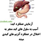 طب سنتی کلبه سبز در میدان ارتش اصفهان