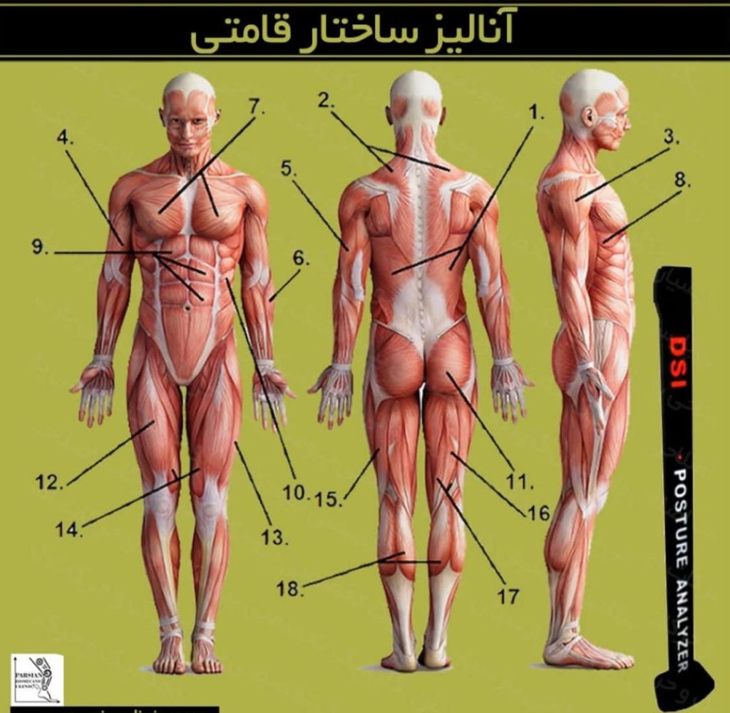 کلینیک بیومکانیک و حرکات اصلاحی پارسیان در مفتح جنوبی تهران