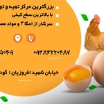 مرکز تهیه و توزیع تخم مرغ حسن پور بهبهان