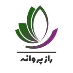 مرکز مشاوره راز پروانه در میدان شهدا کرج