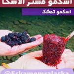 بستنی و اسکمو مستر آلاسکا در رشت